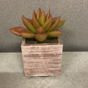 Meet your Posher, Katelyn